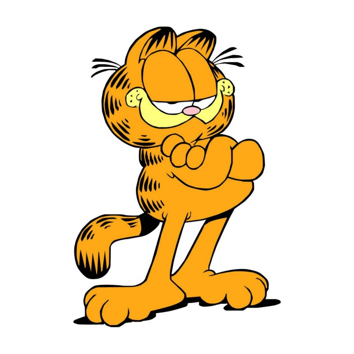 Garfield the cat cartoon character