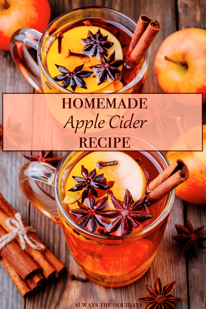 apple cider recipe Two glasses of hot spiced apple cider with a text overlay reading "homemade apple cider recipe".