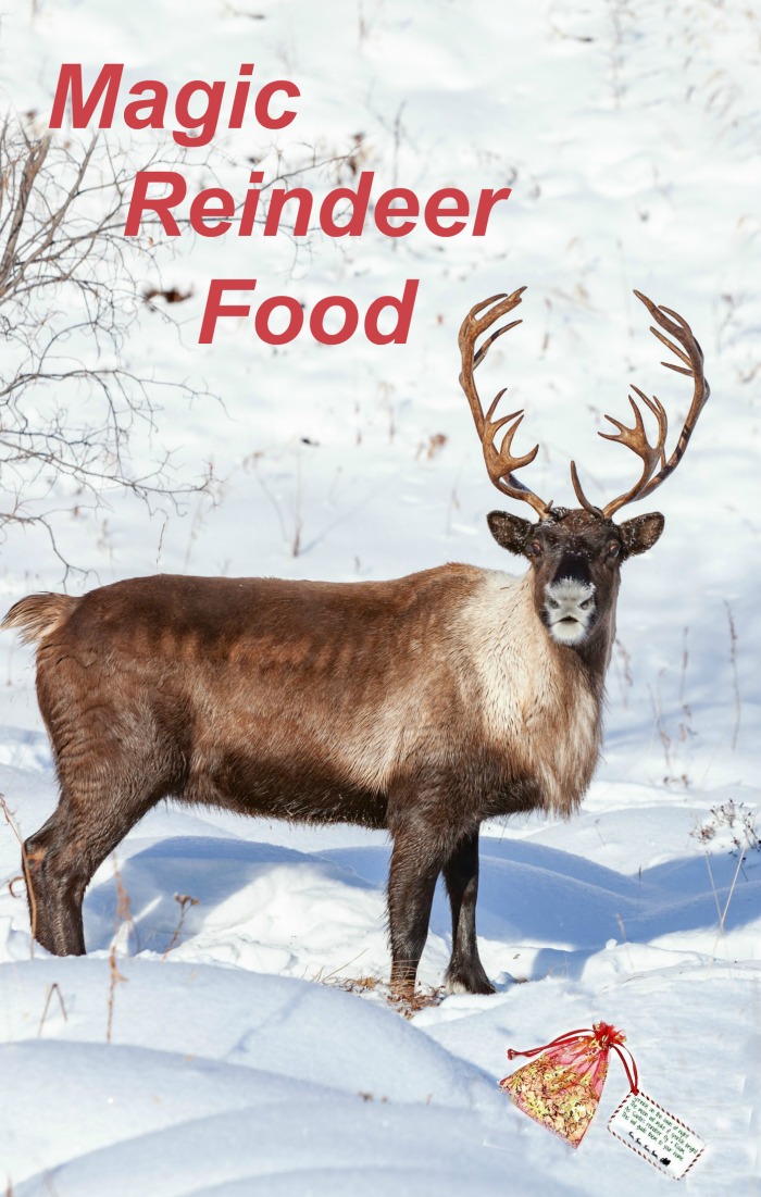 Reindeer in the snow with reindeer food bag and label and words reading "magic reindeer food."