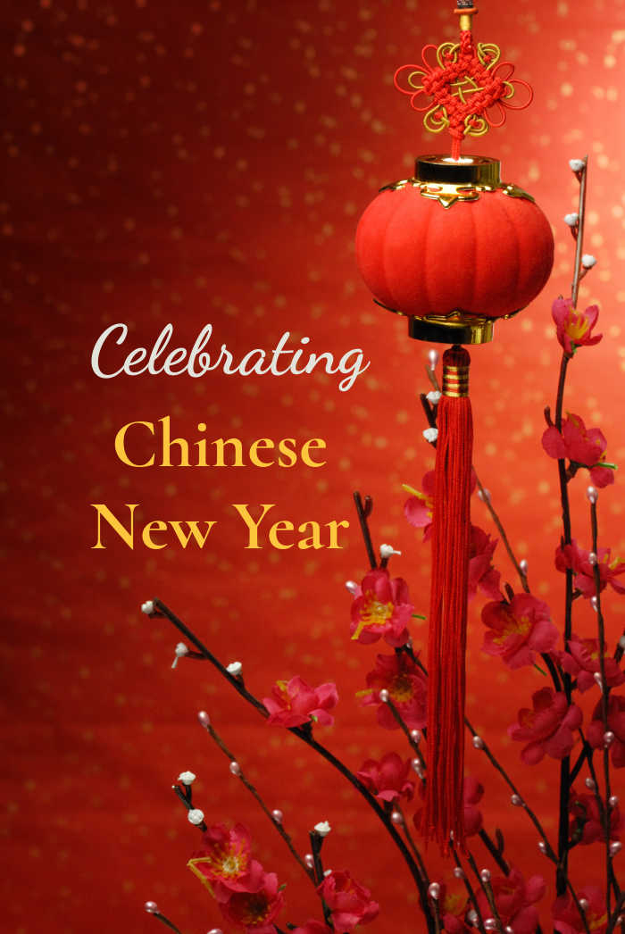 Celebrating Chinese New Year Lantern, pussy willows and text reading "Celebrating Chinese New Year."