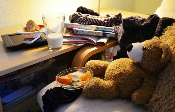 teddy bear, magazines and food clutter