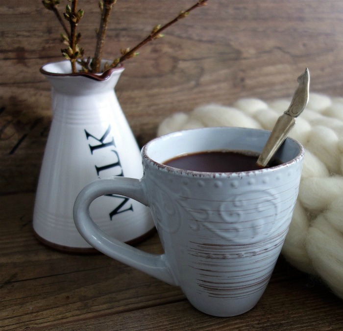 hot chocolate in a mug with a bud vase and branches cocoa in a mug