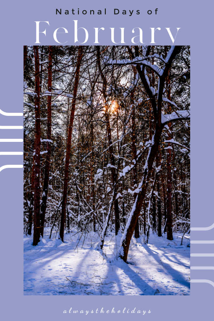 Tree covered in snow in the sunlight with words reading National Days of February.