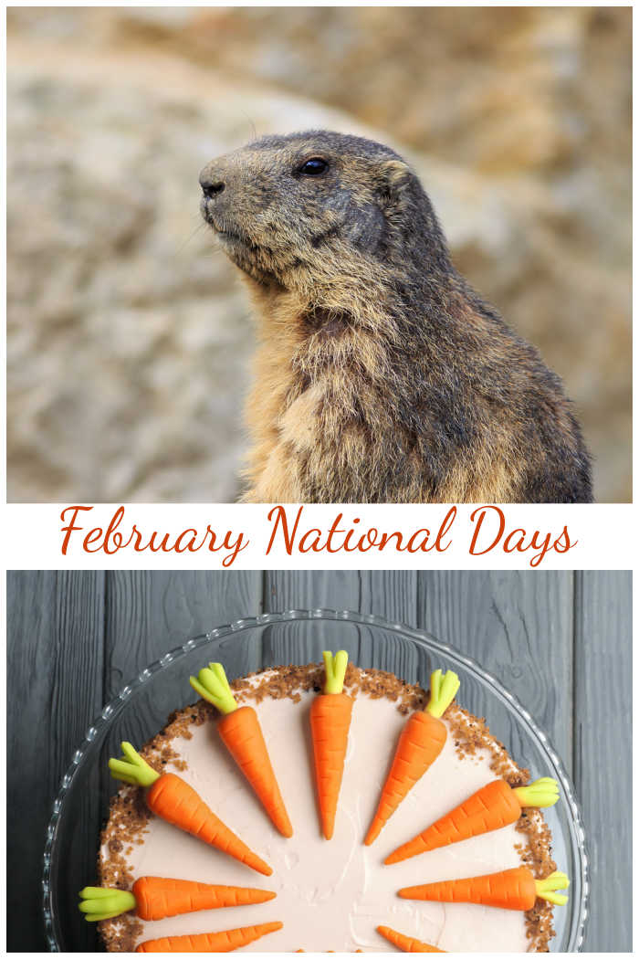 Groundhog and carrot cake with words reading February national days.