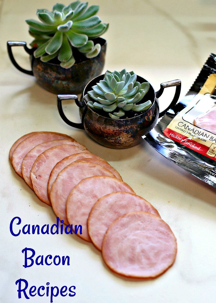 Canadian bacon slices and succulent plants Canadian Bacon Recipes