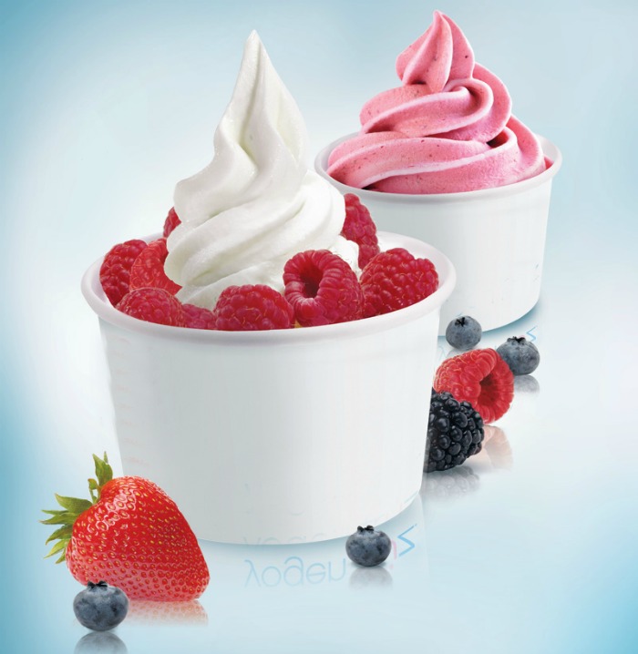 National Frozen Yogurt Day – February 6 – History, Facts and Recipes