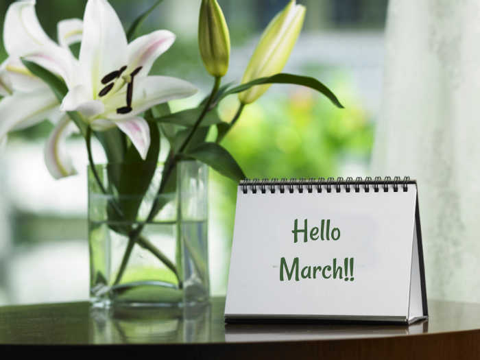 Lilies in a jar of water and words on a pad reading Hello March!!