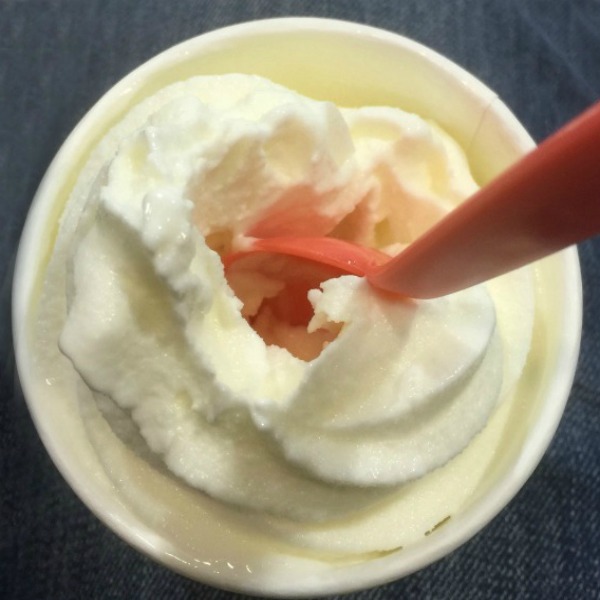 Homemade Soft Serve Frozen Yogurt