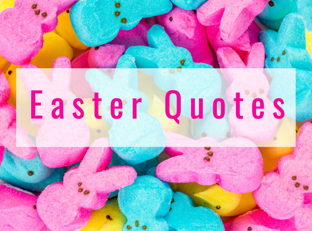 A text overlay reading Easter quotes over pink, yellow and blue peeps.