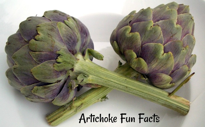 Facts about artichokes