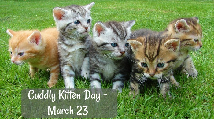 Kittens on the grass. Five kittens on a lawn with a text overlay reading "Cuddly Kitten day - March 23".
