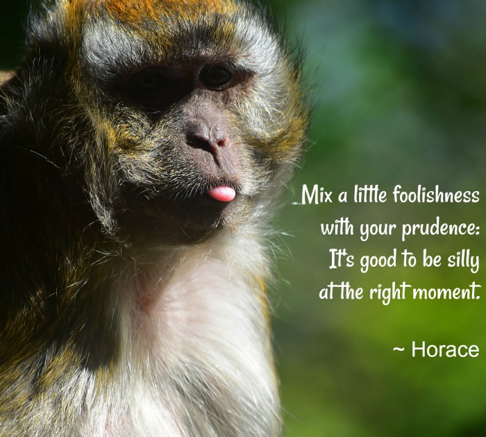 Monkey with tongue out and quote. A monkey sticking its tongue out with a text overlay with a silliness quote for April Fool's Day