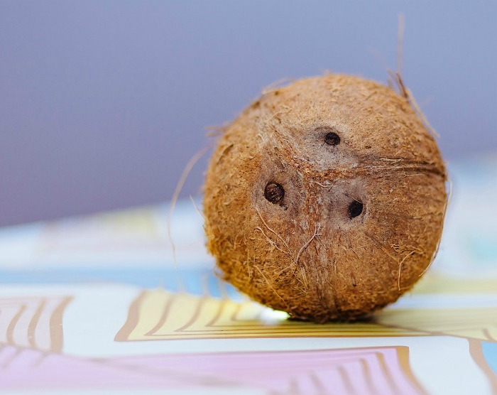 coconuts with three eyes on a yellow, pink and blue towel coconut with three eyes