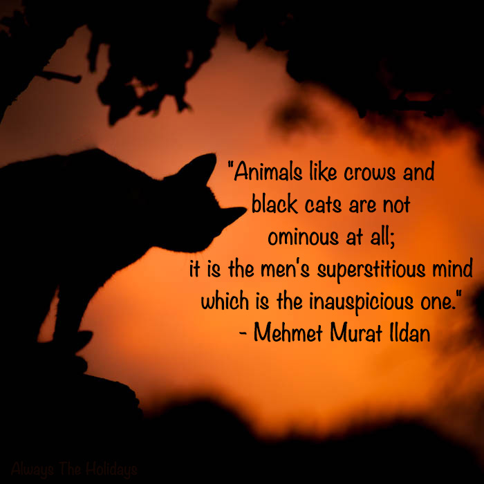 the silhouette of a black cat against an orange backdrop with a text overlay that reads "Animals like crows and black cats are not ominous at all; it is the men's superstitious mind which is the inauspicious one." - Mehmet Murat Ildan are black cats good luck or bad luck quote