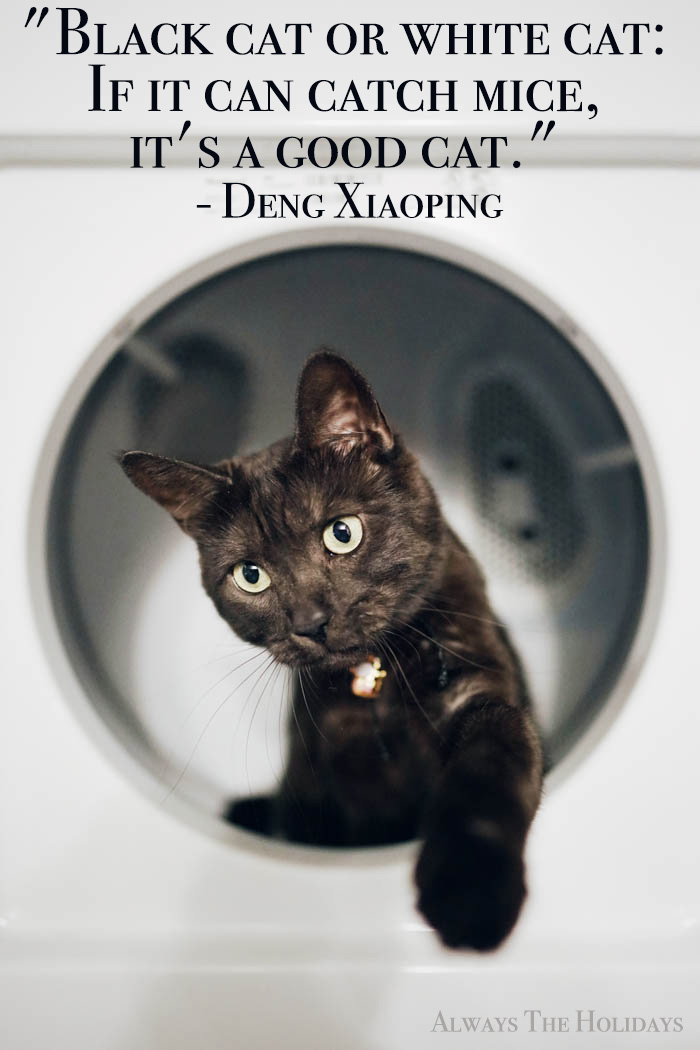 A black cat reaching out to catch a mouse with a text overlay reading "Black cat or white cat: If it can catch mice, it's a good cat." - Deng Xiaoping. Quote about black cats -Black cat or white cat, if it can catch mice, it's a good cat.