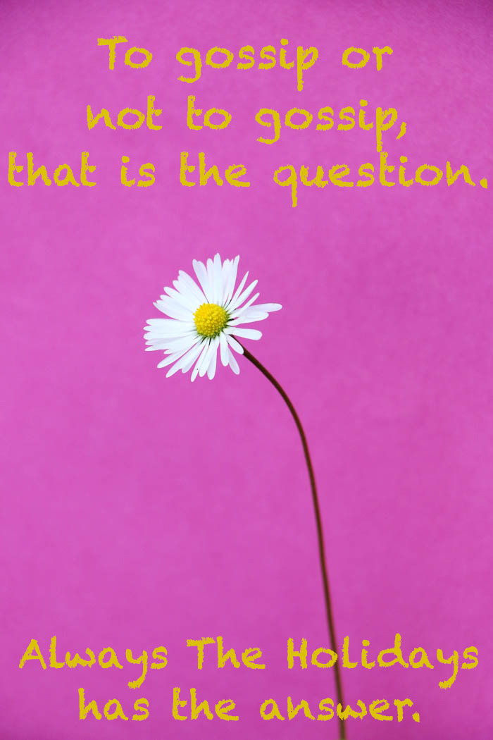 A photo of a daisy on a pink background with text that reads to gossip or not to gossip that is the question. Always the Holidays has the answer. To gossip or not to gossip. Find out the answer for National Gossip Day