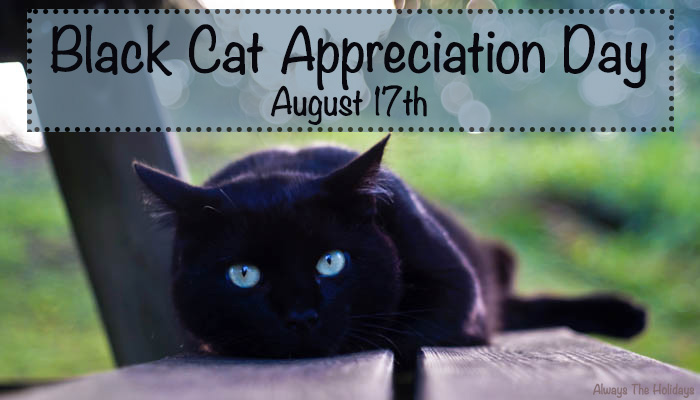 black cat lying on a picnic table with a text overlay reading black cat appreciation day august 17th black cat appreciation day august 17