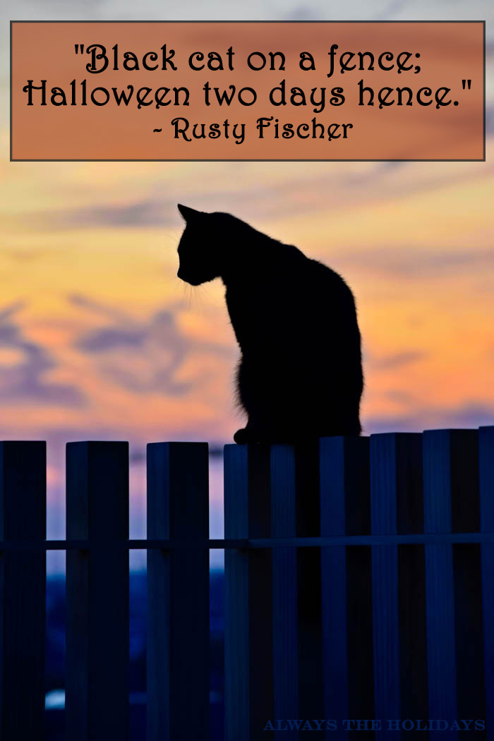 A cat sitting on a fence with a text overlay that reads "Black cat on a fence; Halloween two days hence." - Rusty Fischer. Black cat saying - Black cat on a fence, Halloween two days hence.
