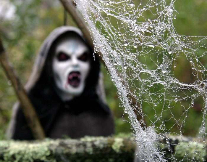 ghoul and spider webs with rain on them. ghoul and spider webs