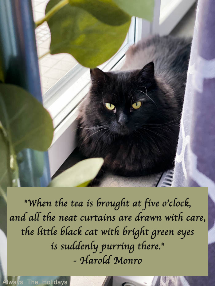 A black cat sitting between a window and curtains with a text overlay that reads "When the tea is brought at five o’clock, and all the neat curtains are drawn with care, the little black cat with bright green eyes is suddenly purring there." - Harold Monro. Black cat quote about tea being served at 5 o'clock.