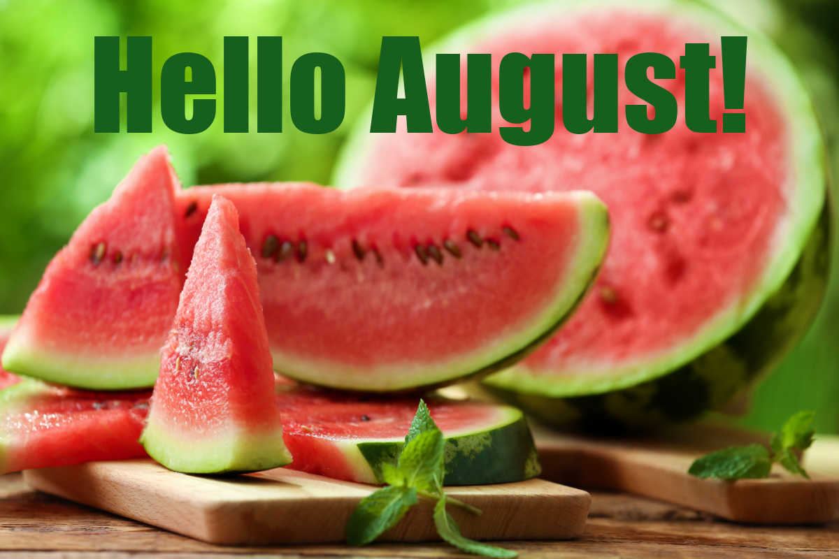 Big pieces of watermelon with words Hello August.
