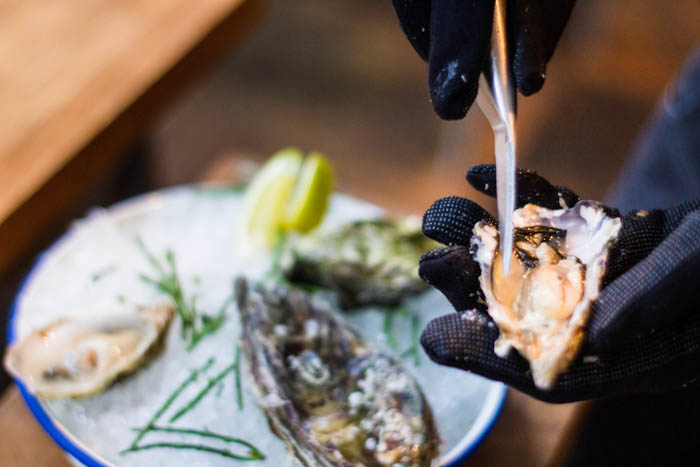 A person, wearing gloves, is shucking an oyster, and getting ready to plate it. Shucking Oysters
