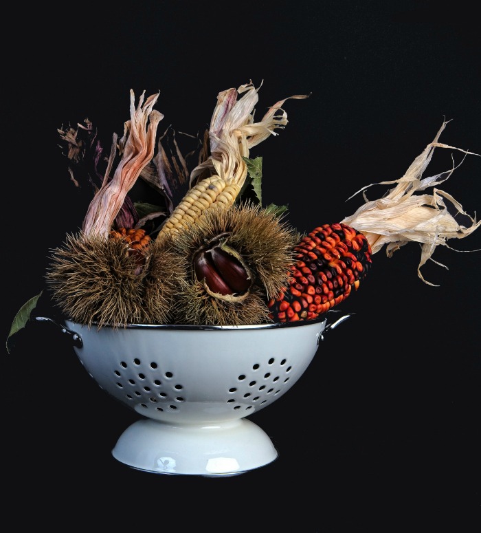 indian corn-colander