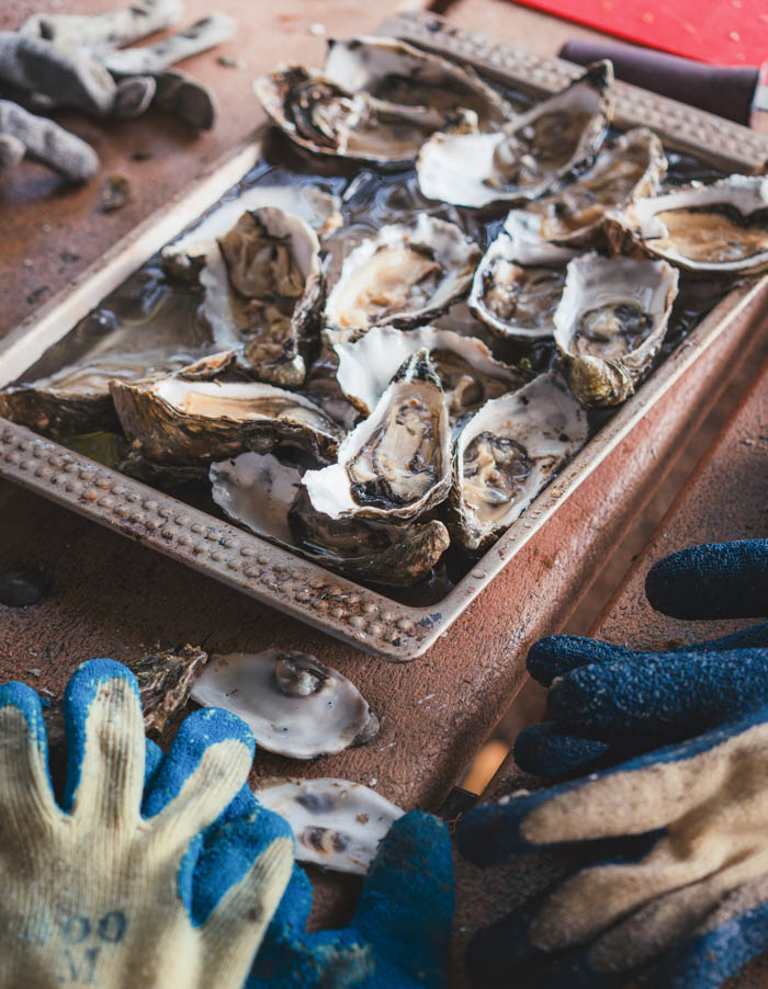 A fisherman's tray of oysters, sitting next to a pair of blue gloves A fisherman's tray of oysters