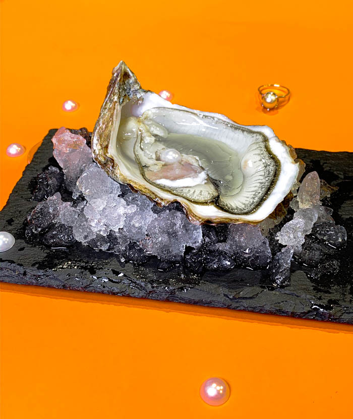An oyster on ice with a pearl in it Pearl oyster