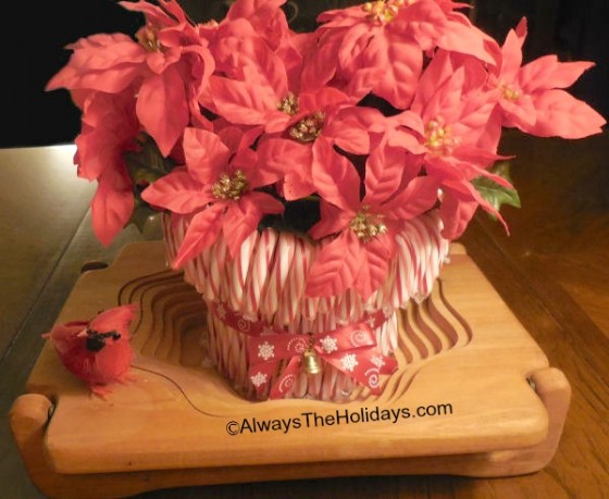 pointsettia and candy canes