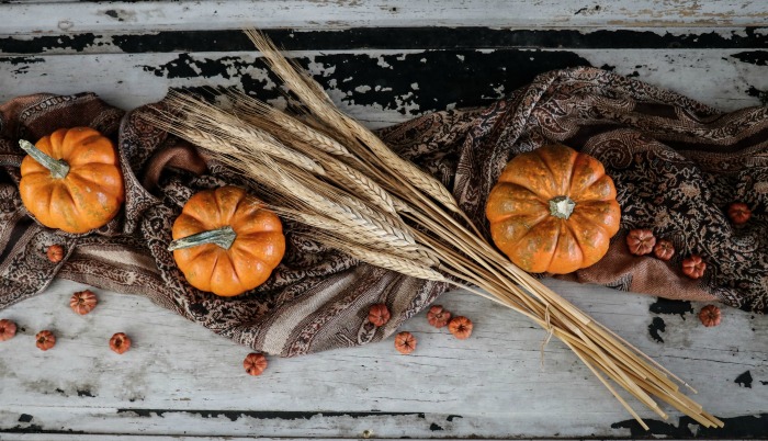 pumpkin and wheat table decoration