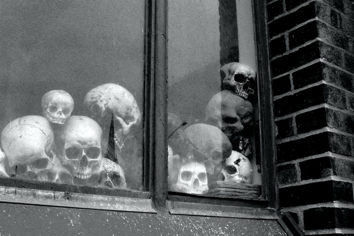 skulls piled in a window Skulls in a window