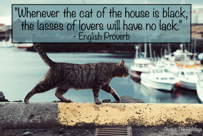 a cat walking along a sidewalk near a marina with a text overlay reading "whenever the cat of the house is black, the lasses of lovers will have no lack." Black cat quote - Whenever the cat of the house is black, the lasses of lovers will have no lack.