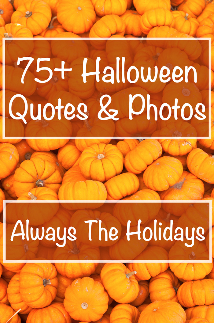 A pile of pumpkins with the text overlay "75+ Halloween Quotes & Photos". A pile of pumpkins with the text overlay "75+ Halloween Quotes & Photos".