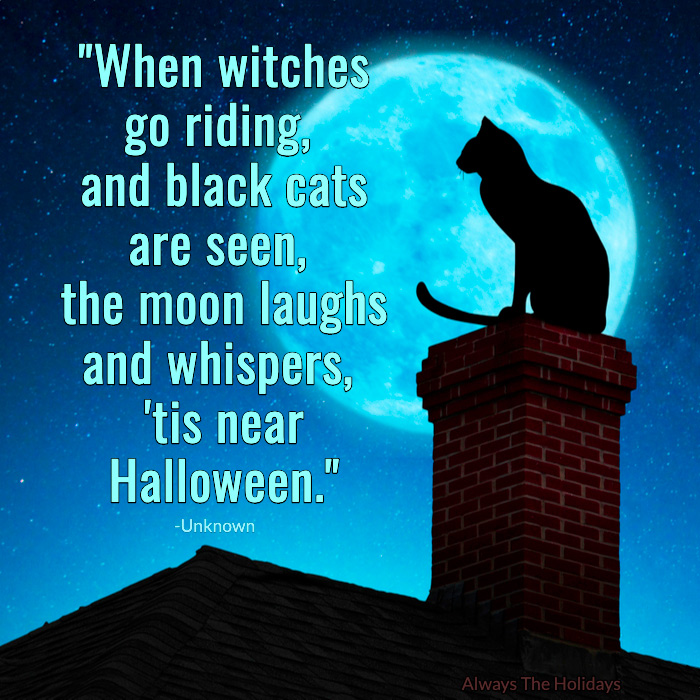 Silhouette of a black cat on a chimney with a Halloween quote overlay. A cat silhouette sitting on a chimney during a full moon with a text overlay.