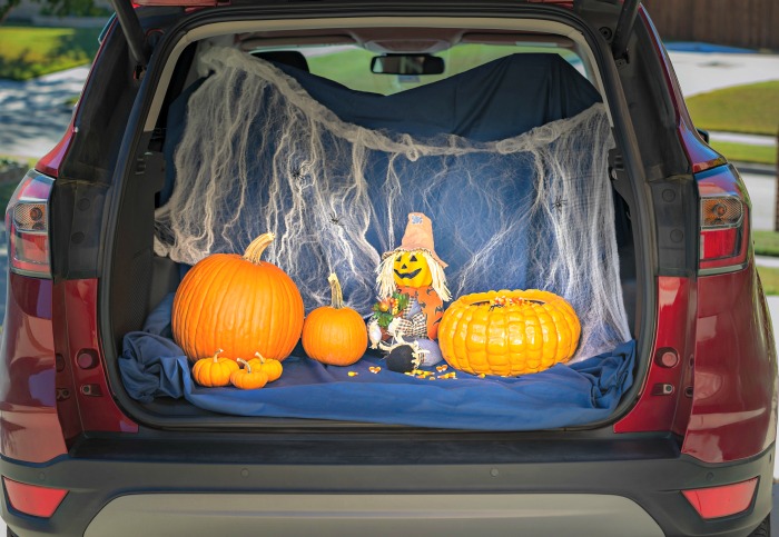 It's tailgating time! Pumpkins in a car trunk.