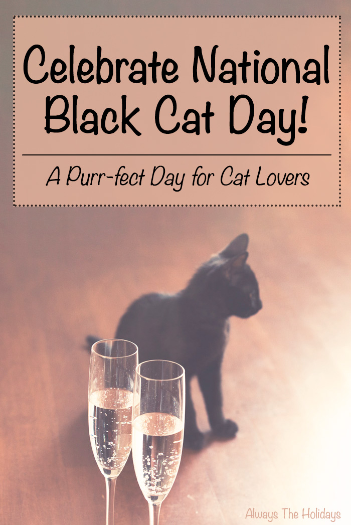A black cat and champagne with a text overlay encouraging cat lovers to celebrate National Black Cat Day. A black kitten on the floor behind champagne glasses with a text overlay to celebrate National Black Cat Day.