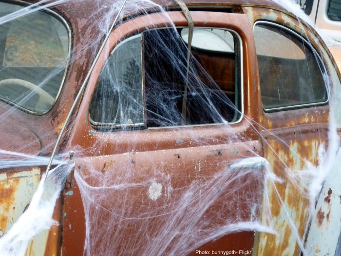 Spider webs on an old car.