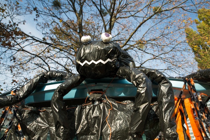Trash bag spider on a car roof. Giant car spider