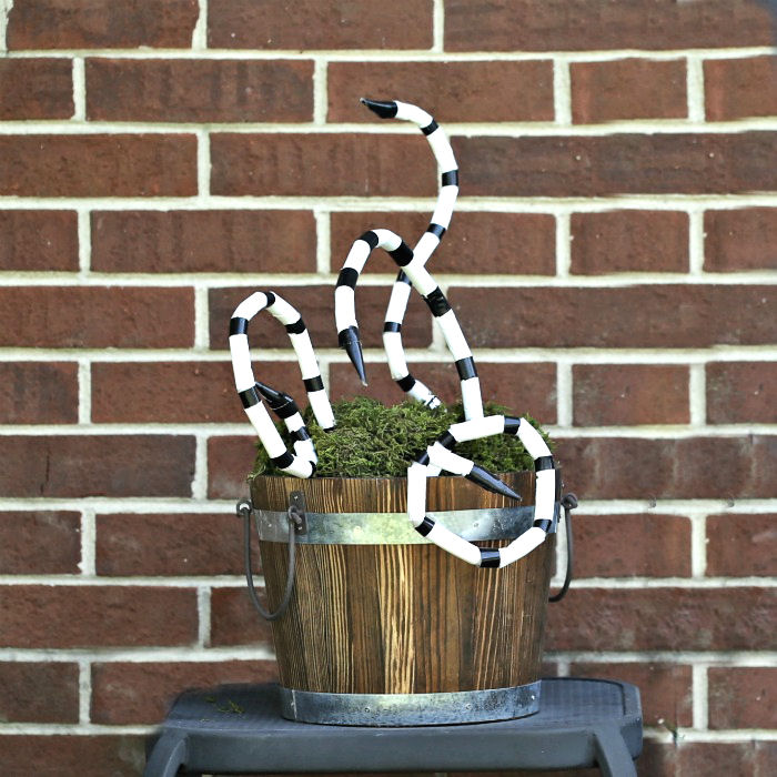 Beetlejuice snake DIY project