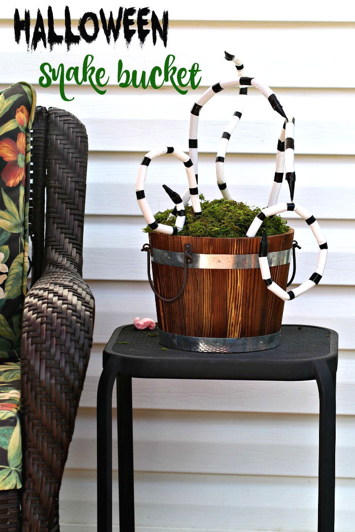 It's Halloween snakes time! White and black snakes in a bucket on a table with words reading "Halloween snake bucket."