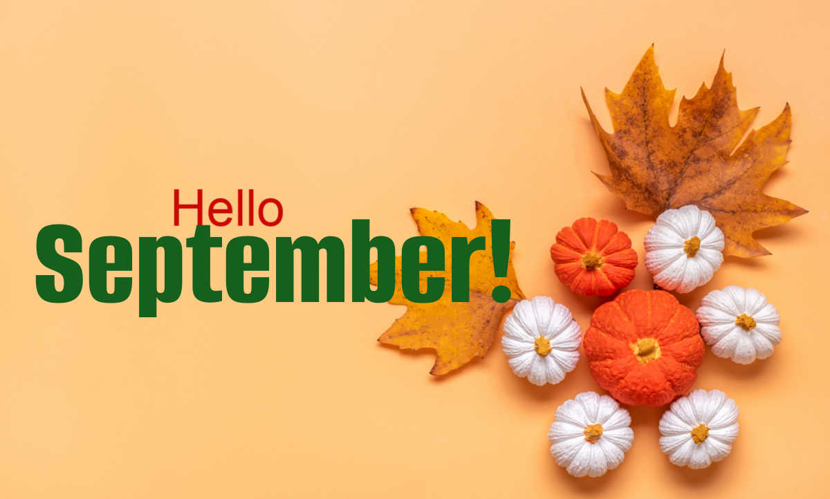 Hello September! Pumpkins and leaves with text reading Hello September!