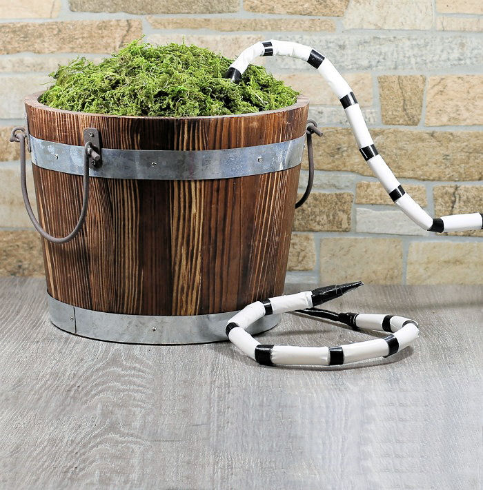 Bucket with moss and striped snakes. Bucket filled with moss and Beetlejuice snakes trying to climb in.