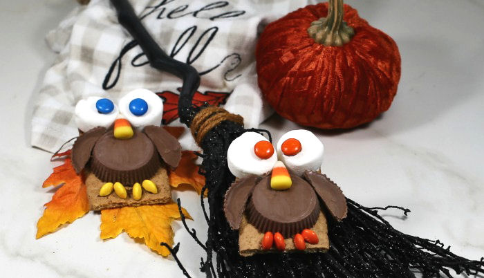 Owl cookies Owl cookies with broom and pumpkin.