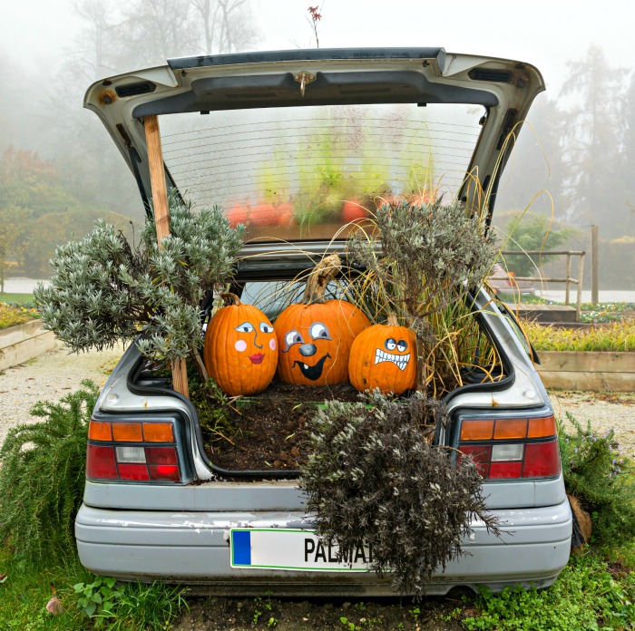 It's pumpkin time - car trunk style! Pumpkin car decorations with bales of hay.