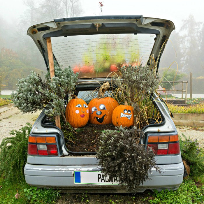 Pumpkin car decorations in a car trunk.