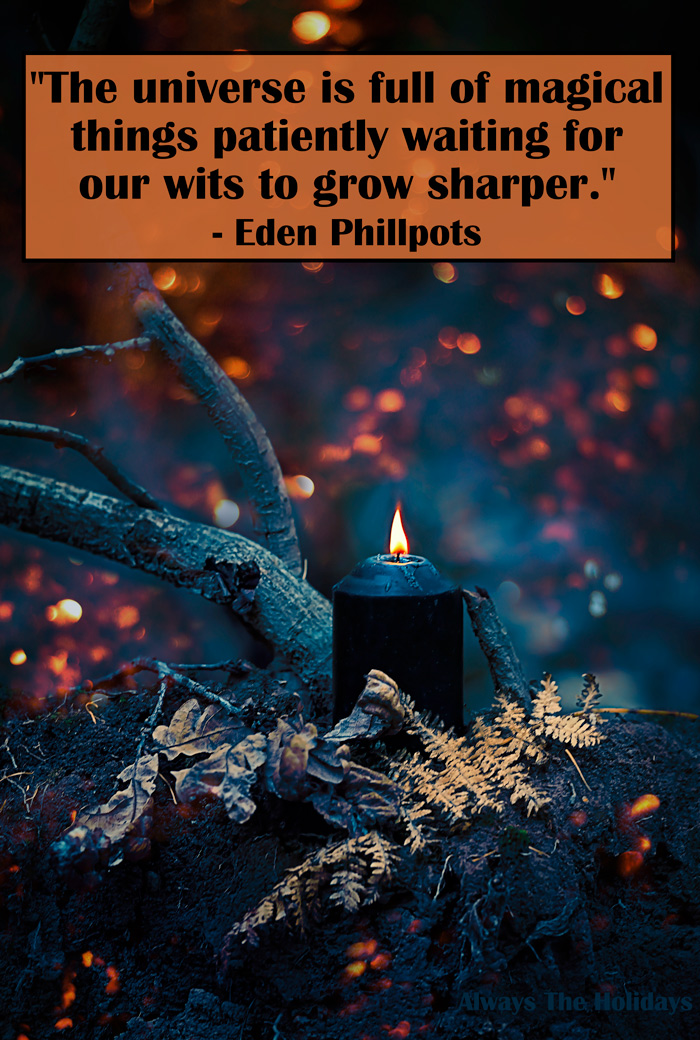 Black candle in a dark forest with a Halloween quote overlay. A black lit candle resting in the crook of a tree in a spooky forest with a quote about Halloween in a text overlay.