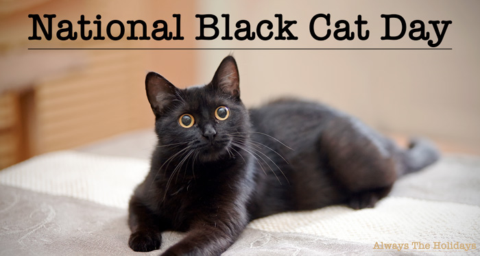 Black cat on a bed with a text overlay to celebrate National Black Cat Day A black cat sitting on a bed with a text overlay reading "National Black Cat Day".