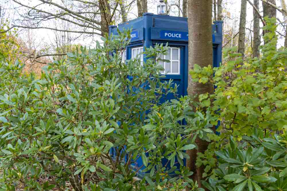 Dr. Who Mailbox Blue mailbox in the woods.