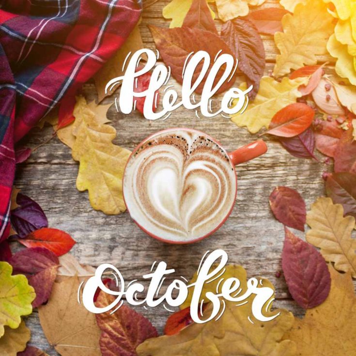 Leaves, cup of coffee and plaid shirt with words Hello October.